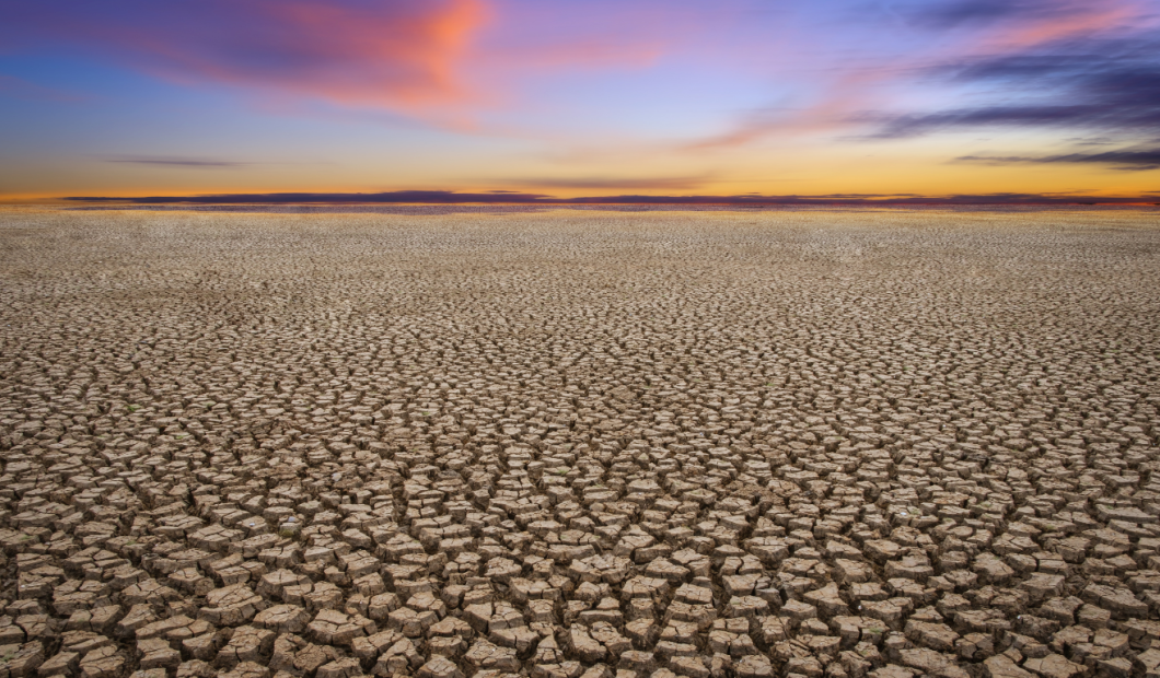 Climate Change and Agriculture: Adapting to a New Reality